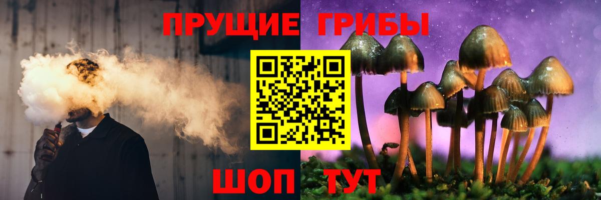 хочу наркоту  Вход с VPN  Зеленодольск  Псилоцибиновые грибы Psilocybine cubensis 